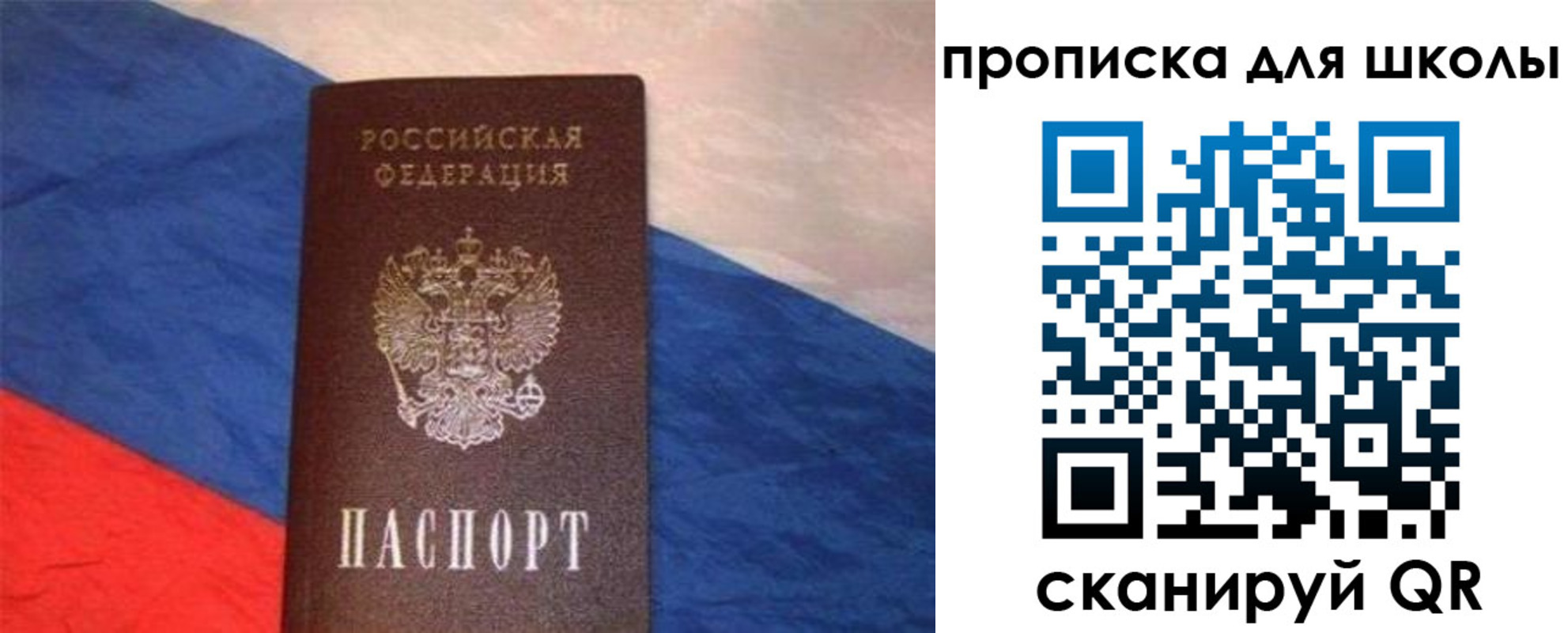 прописка поиск в Емве